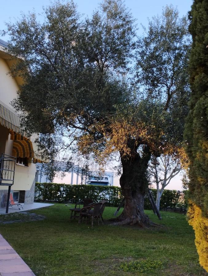 Апартаменты Magnolia House Scanzano Jonico Экстерьер фото